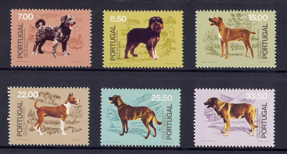 1981 - Afinsa nº 1510/15. BAIXO CUSTO. Cães de Raça Portuguesa. Série nova sem charneira. Goma Original. Em boas condições.