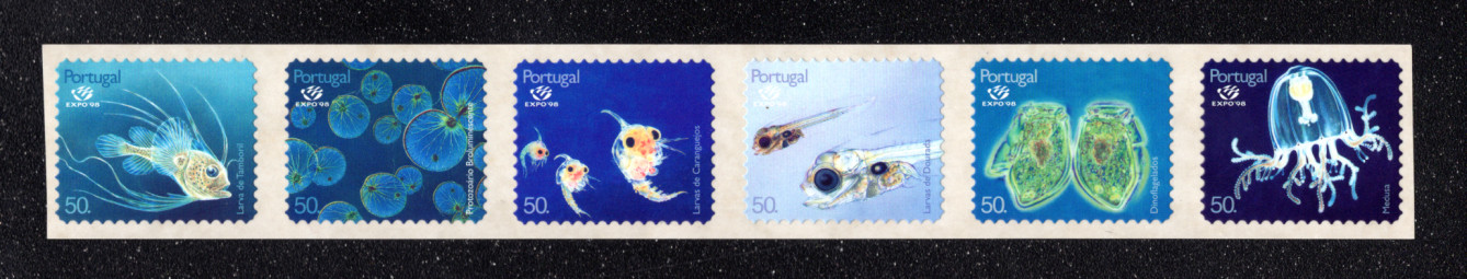 1998 - Afinsa nº 2501/6. BAIXO CUSTO. Oceanos. Plâncton. Série nova de selos Auto-Adesivos. Em boas condições.