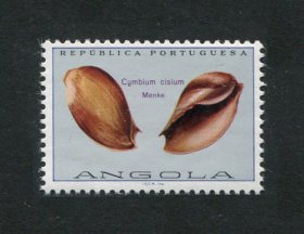 1974 - Afinsa nº 566a. Conchas de Angola. Selo de 1$00 novo, SEM GOMA. VALOR E "CORREIOS" OMITIDOS. Em boas condições.