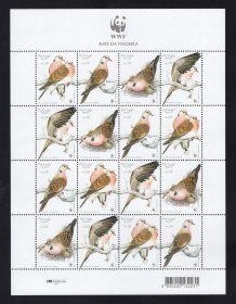 2002 - Folha Miniatura nº 18 - WWF - Aves da Madeira. Nova sem charneira. Em boas condições.