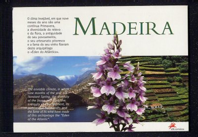 2005 - Caderneta Anual nº 1B - Madeira - Todas as emissões de 2005 alusivas à Madeira + prova de cor da Europa. Em boas condições.