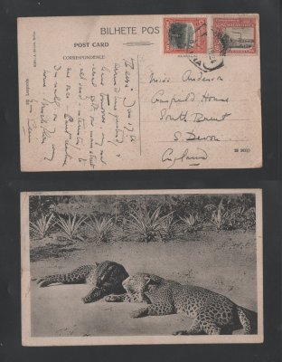 1924 - Postal circulado da Beira para Inglaterra. Pequeno rasgo na margem direita.