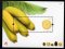 2009 - Bloco nº 395. Frutos da Madeira. Novo sem charneira. Em boas condições.